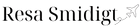 Resa Smidigt
